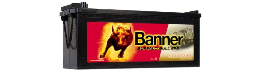 Buffalo Bull EFB