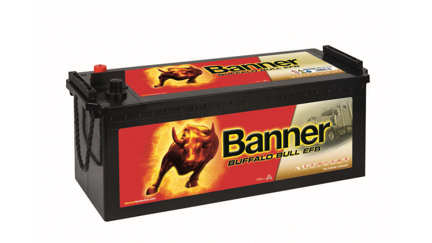 Banner Buffalo Bull